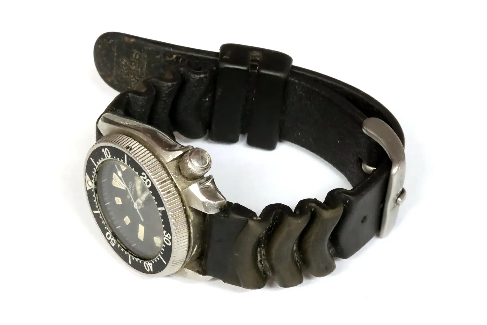 Ladies seiko dive watch best sale